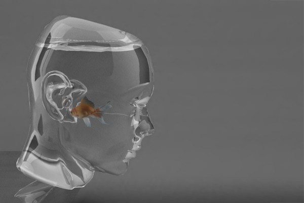 fish by milos paripovic 600x400 Nothing is in vain