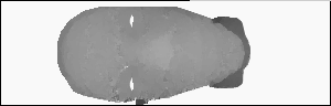 scanminima